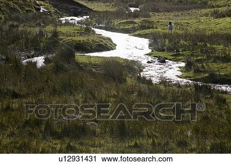 Brook and fields in Yorkshire Dales Yorkshire England View Large Photo Image Stock Image - Brook and fields in Yorkshire Dales Yorkshire England. Fotosearch