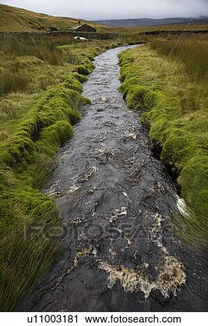 Stock Image - Brook in Yorkshire Dales Yorkshire England. Fotosearch