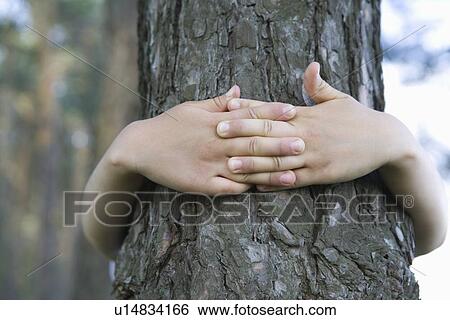 Stock Photograph - Child with arms around tree trunk. Fotosearch