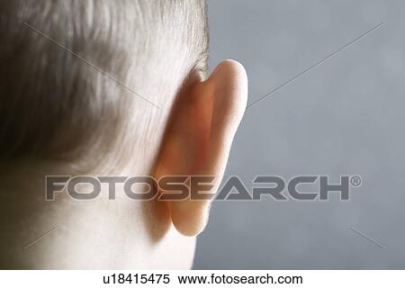 Close up view of baby's ear View Large Photo Image Stock Photography - Close up view of baby's ear. Fotosearch