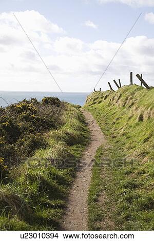 Picture - Coastal path. Fotosearch