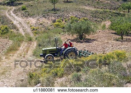 Faming land in Murcia View Large Photo Image Stock Image - Faming land in Murcia. Fotosearch