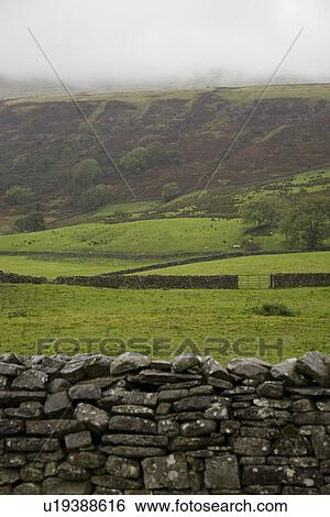 Stock Photograph - Fields in Yorkshire Dales Yorkshire England. Fotosearch