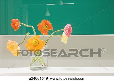 Flowers in vase View Large Photo Image Stock Photo - Flowers in vase. Fotosearch