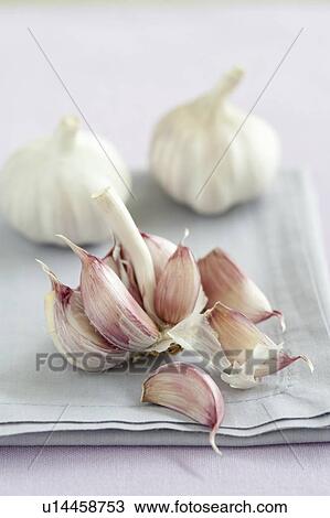 Fresh garlic View Large Photo Image Stock Image - Fresh garlic. Fotosearch