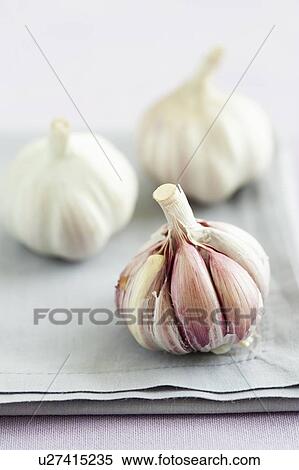 Fresh garlic View Large Photo Image Stock Photography - Fresh garlic. Fotosearch