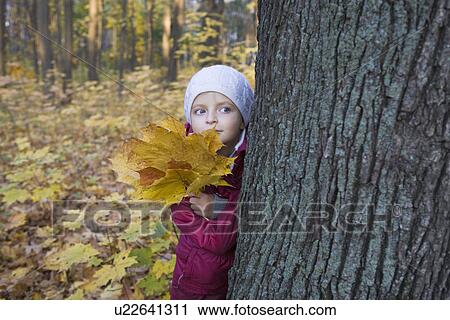 Girl holding leaves behind tree in park View Large Photo Image Stock Image - Girl holding leaves behind tree in park. Fotosearch