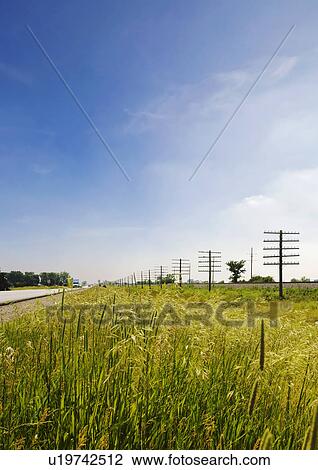 Illinois USA road and electricity pylons in rural area View Large Photo Image Stock Image - Illinois USA road and electricity pylons in rural area. Fotosearch