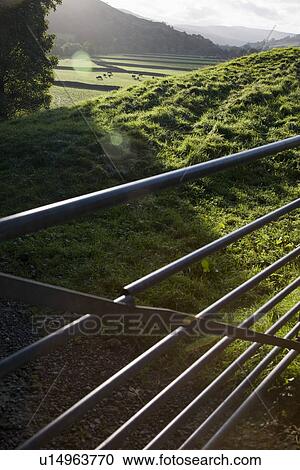 Stock Image - Metal gate on field Yorkshire Dales Yorkshire England. Fotosearch