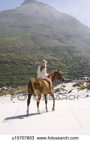 Mid-adult woman riding horse on beach View Large Photo Image Stock Image - Mid-adult woman riding horse on beach. Fotosearch