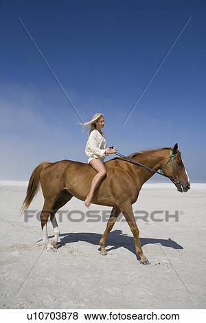Mid-adult woman riding horse on beach View Large Photo Image Stock Photo - Mid-adult woman riding horse on beach. Fotosearch