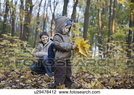 Mother and son collecting leaves in park View Large Photo Image Stock Image - Mother and son collecting leaves in park. Fotosearch