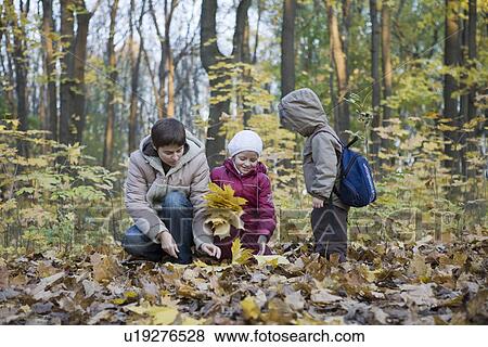 Mother collecting leaves with children in park View Large Photo Image Stock Photo - Mother collecting leaves with children in park. Fotosearch