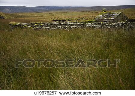 Old abandoned cottage in Yorkshire Dales Yorkshire England View Large Photo Image Stock Photo - Old abandoned cottage in Yorkshire Dales Yorkshire England. Fotosearch