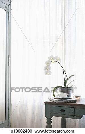 Stock Photo - Orchid and laptop with letters on table at window. Fotosearch