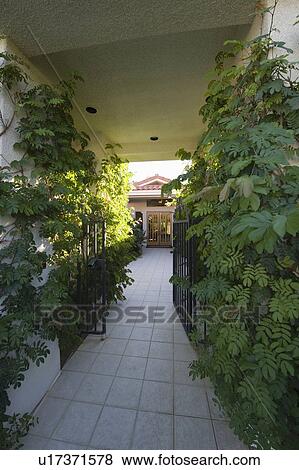 Plants grow at entrance to Palm Springs home View Large Photo Image Stock Photo - Plants grow at entrance to Palm Springs home. Fotosearch