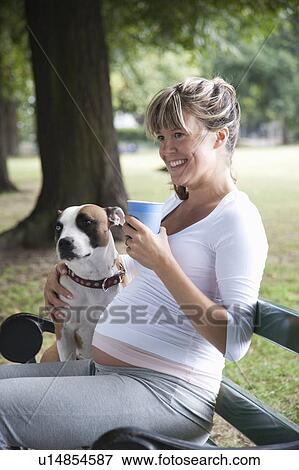 Pregnant woman on park bench with dog View Large Photo Image Stock Photo - Pregnant woman on park bench with dog. Fotosearch