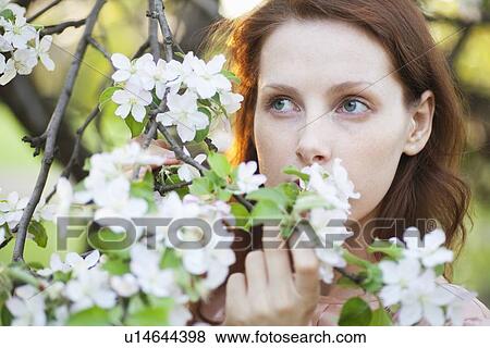 Stock Photo - Redhead holds blossom. Fotosearch