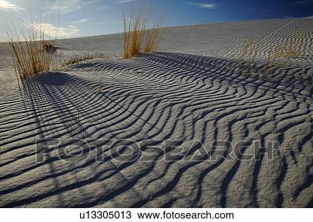 Sand ripples in desert USA View Large Photo Image Stock Image - Sand ripples in desert USA. Fotosearch