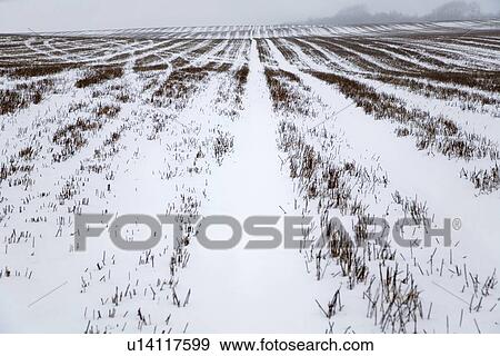 Snow covered field in Kent England. View Large Photo Image Stock Photo - Snow covered field in Kent England.. Fotosearch