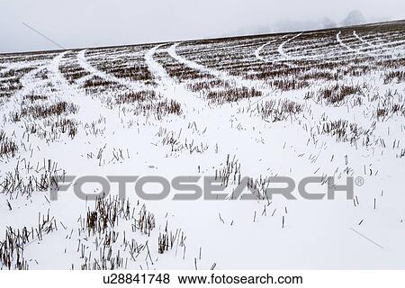 Stock Photo - Snow covered field in Kent England.. Fotosearch