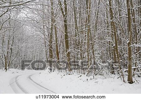 Snow covered rural scene in Kent England. View Large Photo Image Picture - Snow covered rural scene in Kent England.. Fotosearch