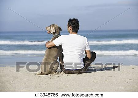 South Africa Cape Town Man and dog sitting beach View Large Photo Image Stock Photograph - South Africa Cape Town Man and dog sitting beach. Fotosearch