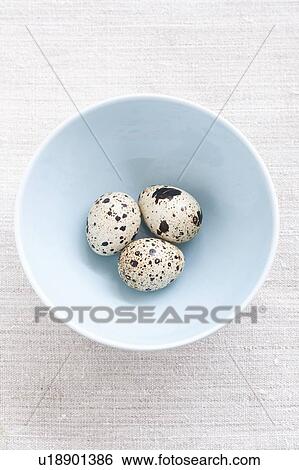 Stock Photograph - Speckled eggs. Fotosearch