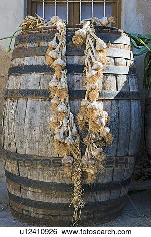 String of garlic hanging from wooden cask View Large Photo Image Stock Photograph - String of garlic hanging from wooden cask. Fotosearch