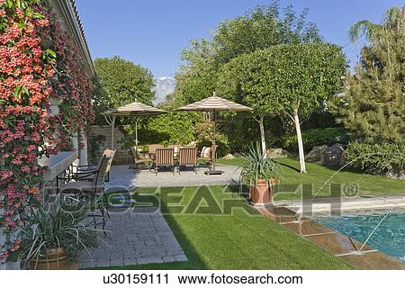 Stock Image - Swimming pool in the back yard of residence. Fotosearch