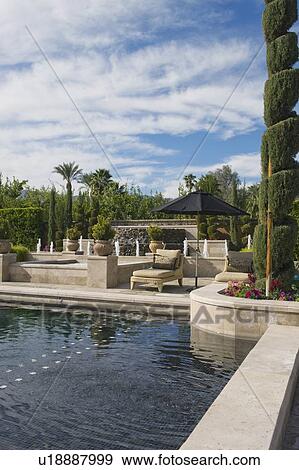 Topiary in garden with poolside sunlounger Palm Springs View Large Photo Image Stock Photo - Topiary in garden with poolside sunlounger Palm Springs. Fotosearch