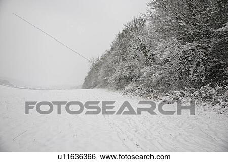 Stock Photograph - UK snowy field and forest. Fotosearch