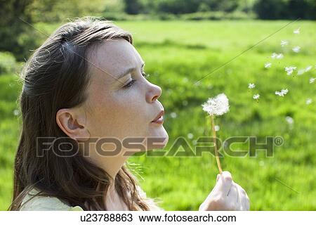 Woman blowing dandelion seeds View Large Photo Image Stock Image - Woman blowing dandelion seeds. Fotosearch