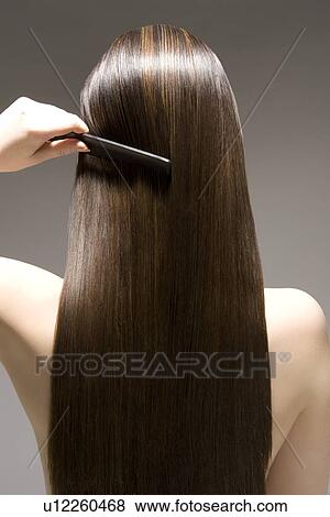 Woman combing long brown hair rear view View Large Photo Image Stock Photo - Woman combing long brown hair rear view. Fotosearch