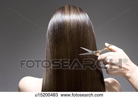 Stock Image - Woman having haircut rear view. Fotosearch