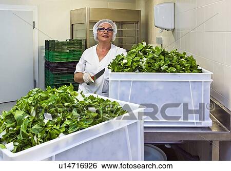 Stock Photograph - Female chef stands with kitchen knife in hospital kitchen. Fotosearch