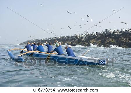 Outrigger canoeing team in training View Large Photo Image Picture - Outrigger canoeing team in training. Fotosearch