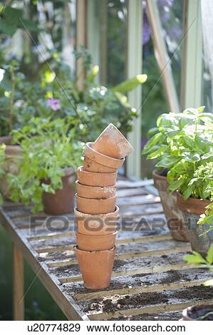 Stock Photo - Stack of terracotta flowerpots on workbench in potting shed. Fotosearch
