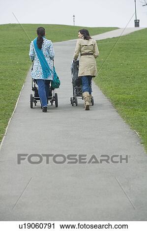 Back view of two mothers pushing strollers in park View Large Photo Image Stock Image - Back view of two mothers pushing strollers in park. Fotosearch