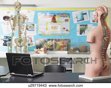 Stock Image - Biology classroom. Fotosearch