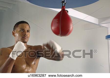 Boxer hitting punching speed bag in gym, head and shoulders View Large Photo Image Stock Photo - Boxer hitting punching speed bag in gym, head and shoulders. Fotosearch