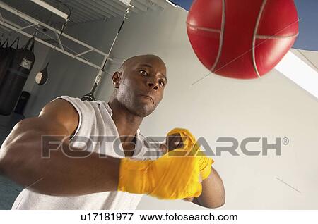 Stock Photo - Boxer hitting speed bag in gym. Fotosearch