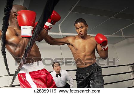 Boxers fighting in ring with referee watching View Large Photo Image Stock Photo - Boxers fighting in ring with referee watching. Fotosearch