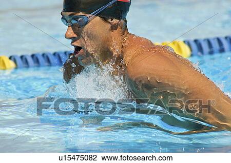 Competitive Swimmer View Large Photo Image Stock Image - Competitive Swimmer. Fotosearch
