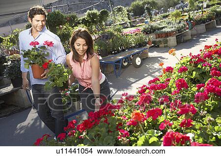 Couple choosing plants at nursery View Large Photo Image Picture - Couple choosing plants at nursery. Fotosearch