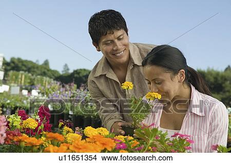 Couple Shopping at Plant Nursery smelling flowers View Large Photo Image Picture - Couple Shopping at Plant Nursery smelling flowers. Fotosearch