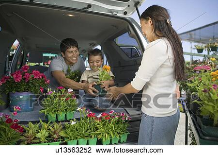 Family Loading Flowers into Minivan View Large Photo Image Stock Image - Family Loading Flowers into Minivan. Fotosearch