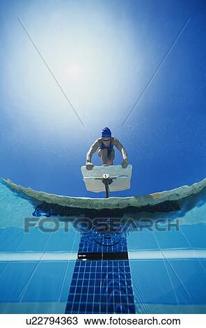 Female diver preparing to dive, (low angle view) View Large Photo Image Stock Image - Female diver preparing to dive, (low angle view). Fotosearch