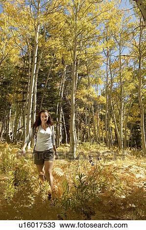 Stock Image - Female hiker in forest. Fotosearch