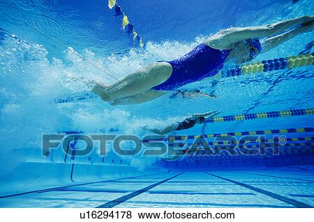 Stock Photo - Female swimmers racing underwater in pool. Fotosearch